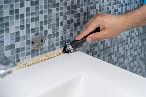 Best Residential Mold Removal  in Mercedes, TX