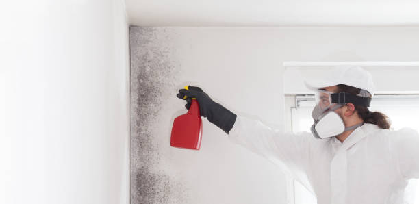 Best Emergency Mold Removal  in Mercedes, TX